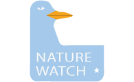 Nature Watch